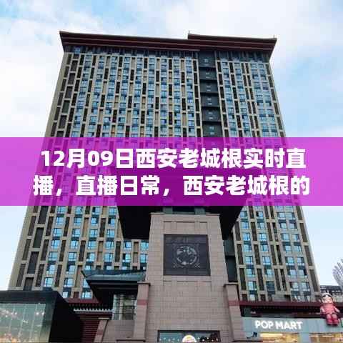 鸟为食亡 第2页