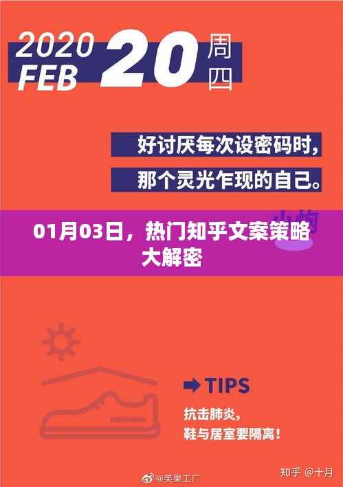 热门知乎文案策略揭秘,01月03日大解密