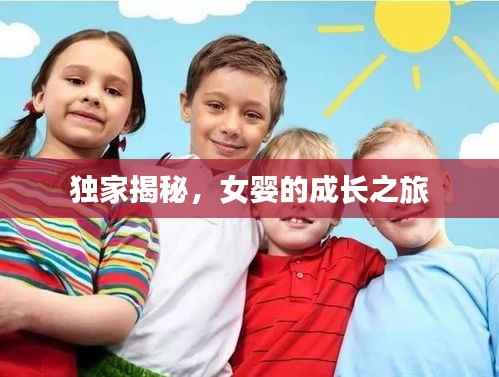 项目介绍 第145页